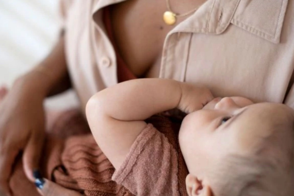 Coquillage d'allaitement : à quoi servent-ils et comment les utiliser ? :  Femme Actuelle Le MAG